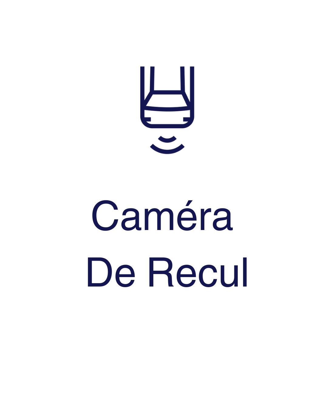 reversing_camera